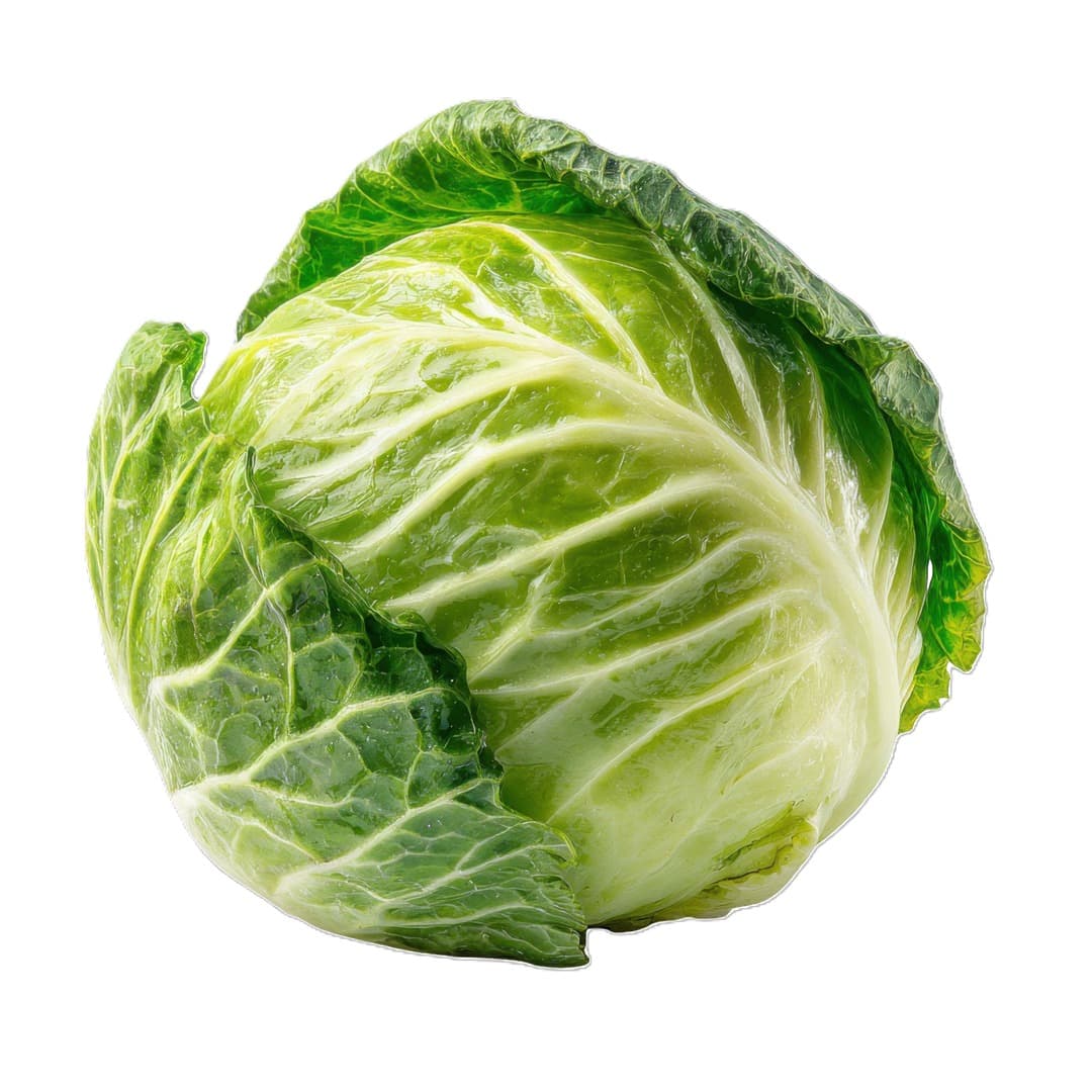 Cabbage