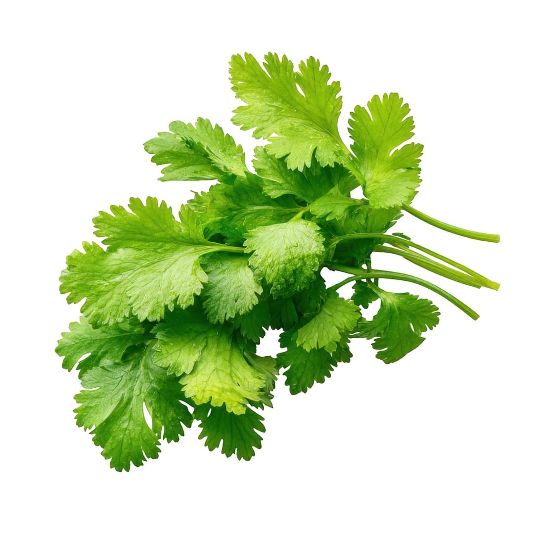 Fresh Parsely