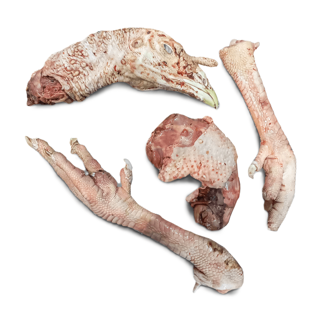 Turkey (Head + Neck+ 2 legs)