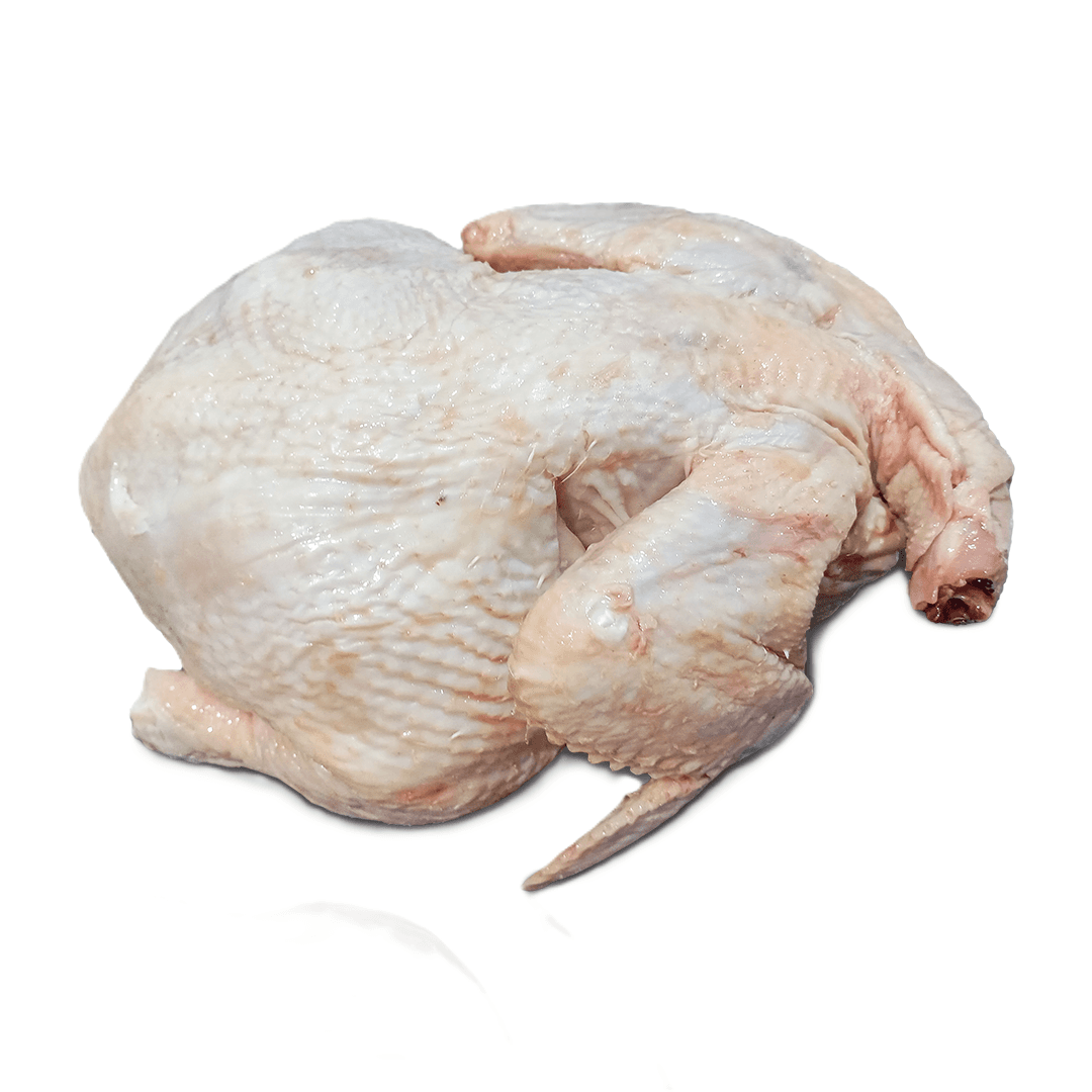Full Dressed Chicken